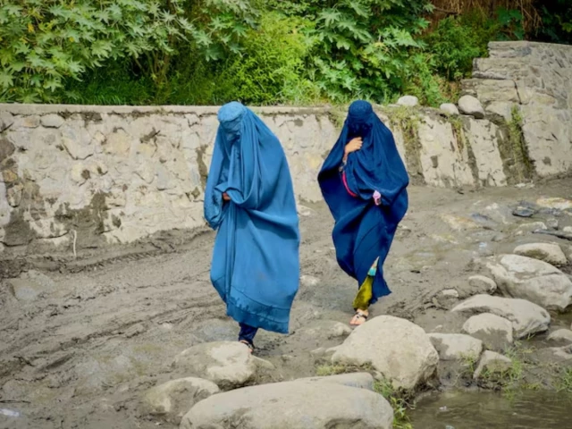 afghanistan1773128643-0-640x480.webp