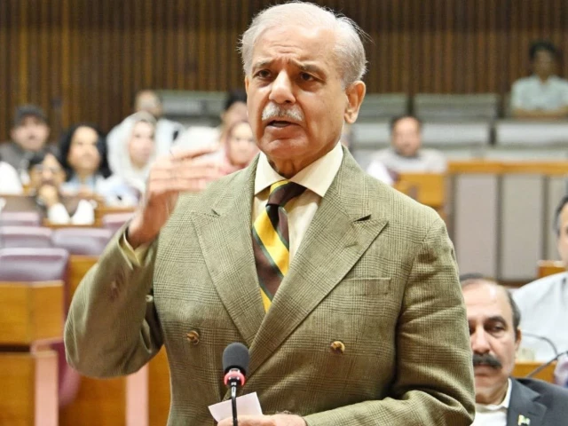 pm-shehbaz-in-parliament1781881060-0-640x480.webp