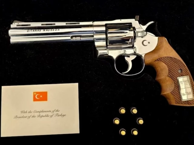 gun-r1783623567-0-640x480.webp