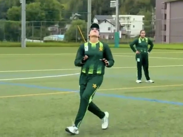 img-26461789559343-0-640x480.webp