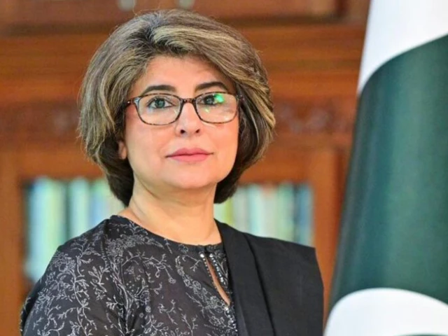 outgoing-foreign-sec-amna-baloch1789690549-0-640x480.webp